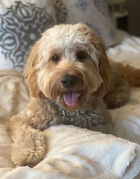 Savannah March 2022.jpg