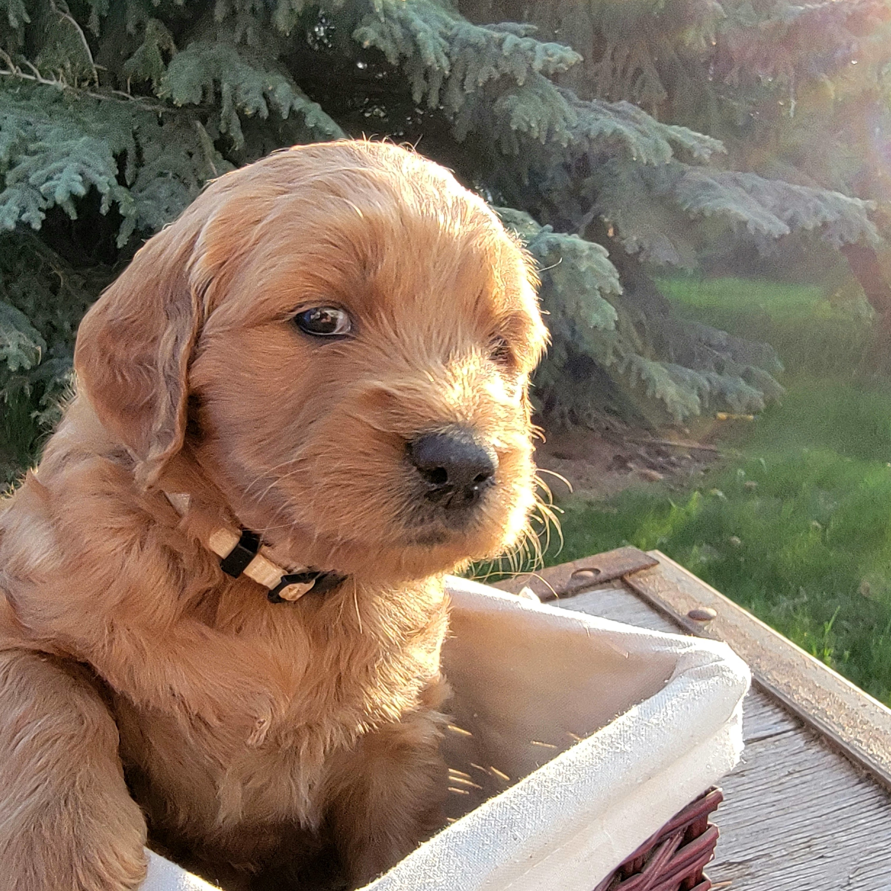 20230521_Cher 4 sq.jpg