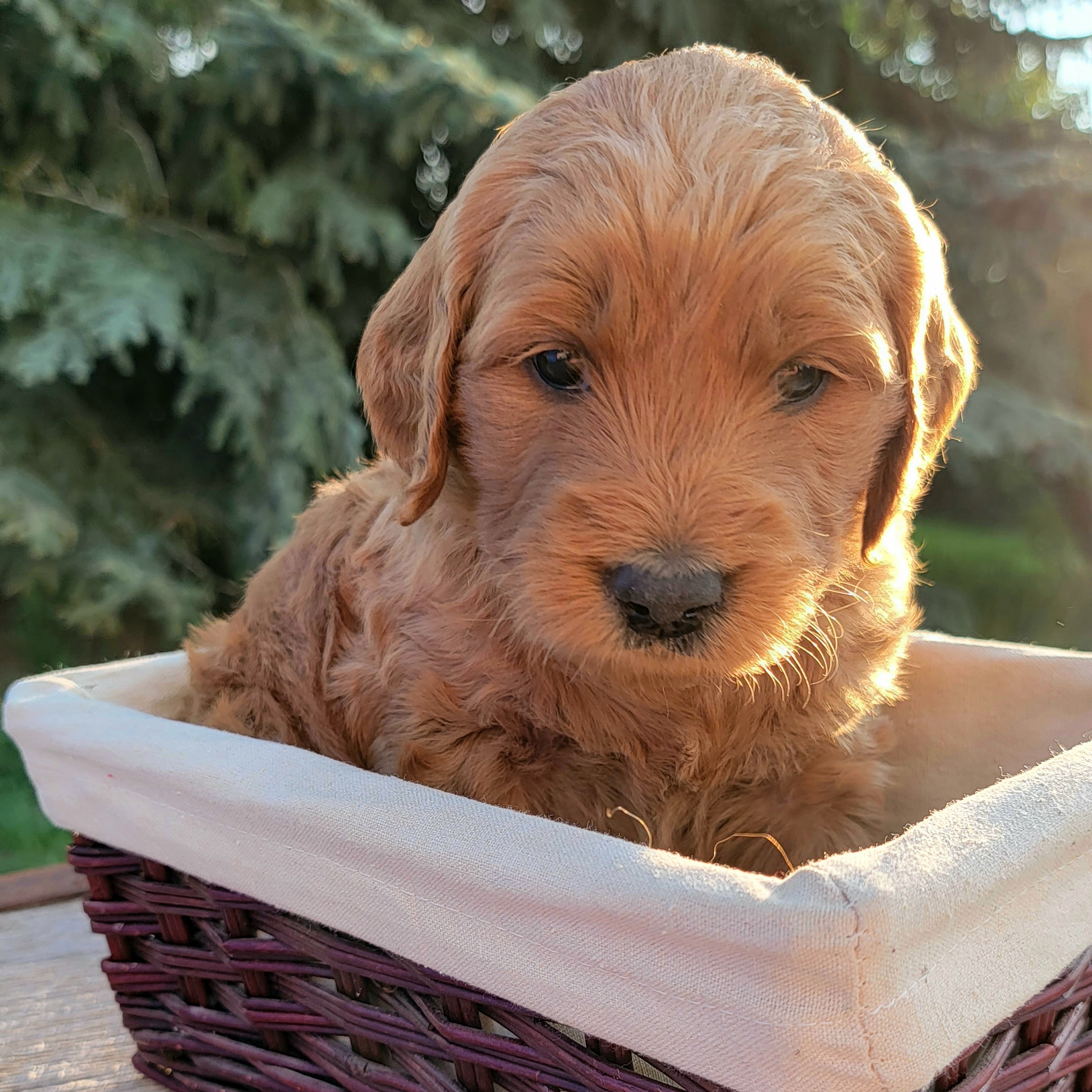 20230521_Cher 3 sq.jpg